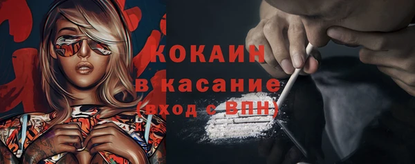 твердый Алексеевка