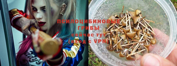 ешки Алексин