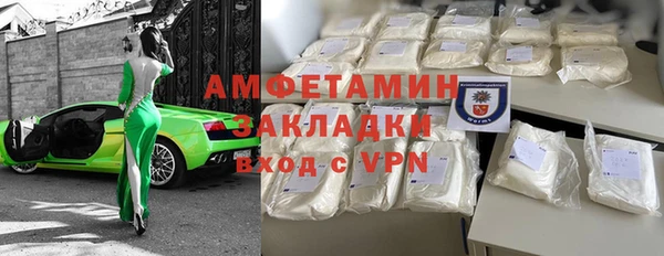 прущие грибы Алзамай