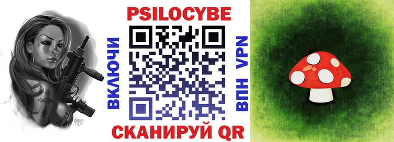 Псилоцибиновые грибы Psilocybe цена сайты даркнета формула Карабулак